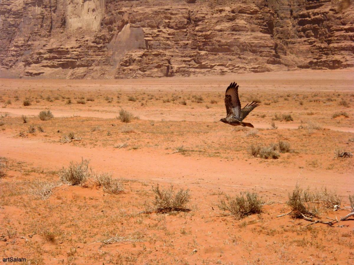 Sunrise camp Hotel Wadi Rum Exterior foto