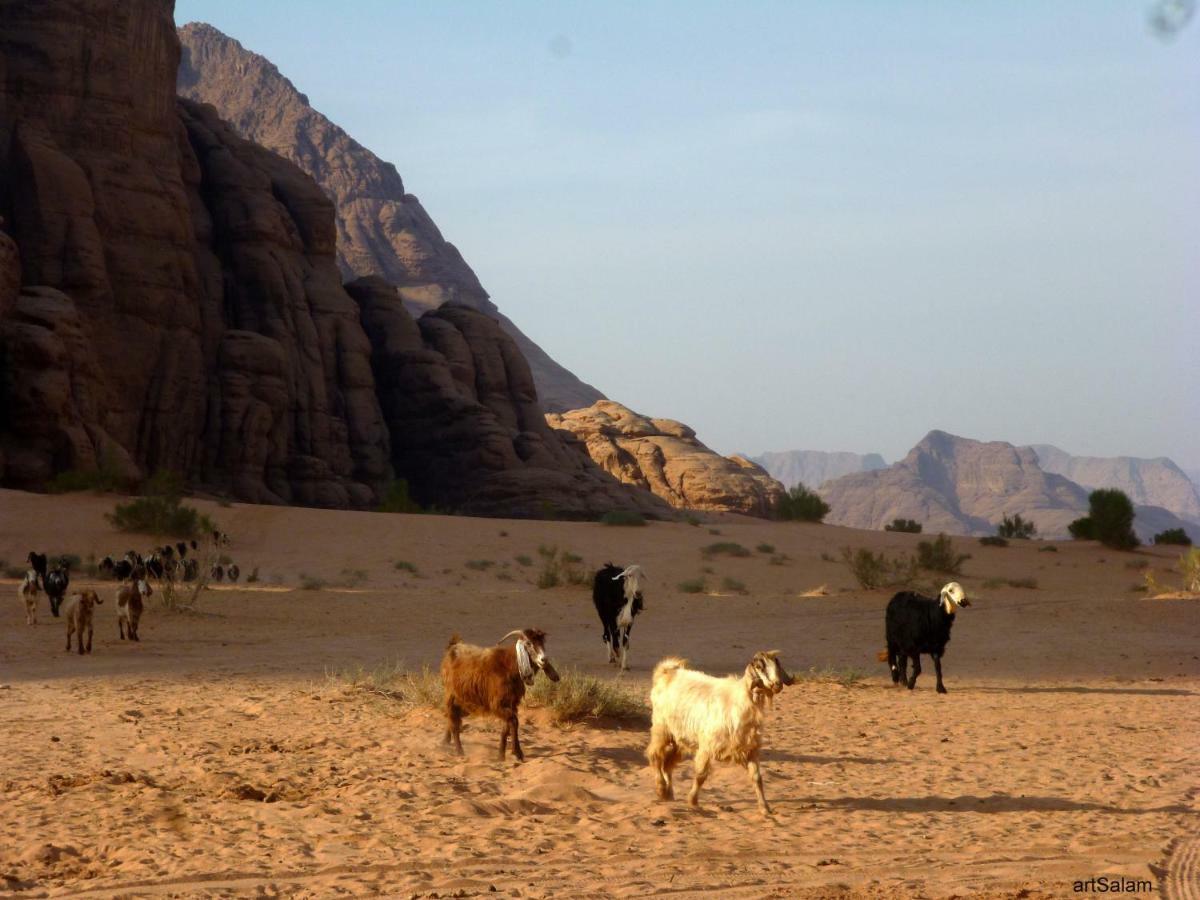 Sunrise camp Hotel Wadi Rum Exterior foto