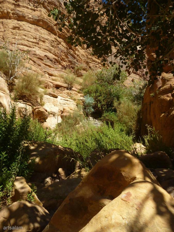 Sunrise camp Hotel Wadi Rum Exterior foto