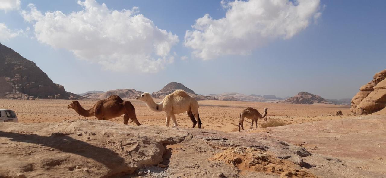 Sunrise camp Hotel Wadi Rum Exterior foto