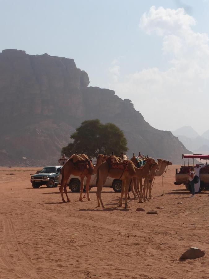 Sunrise camp Hotel Wadi Rum Exterior foto