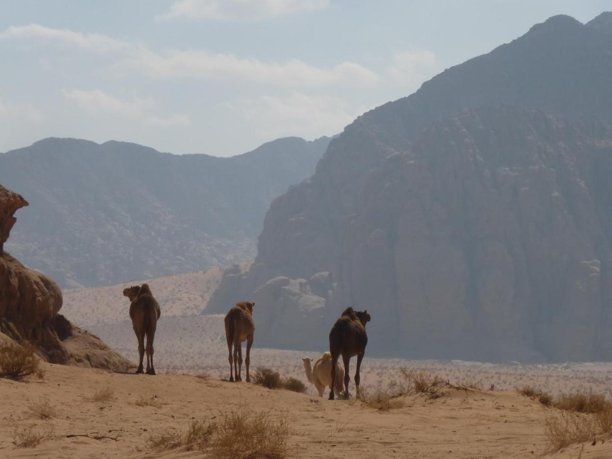 Sunrise camp Hotel Wadi Rum Exterior foto